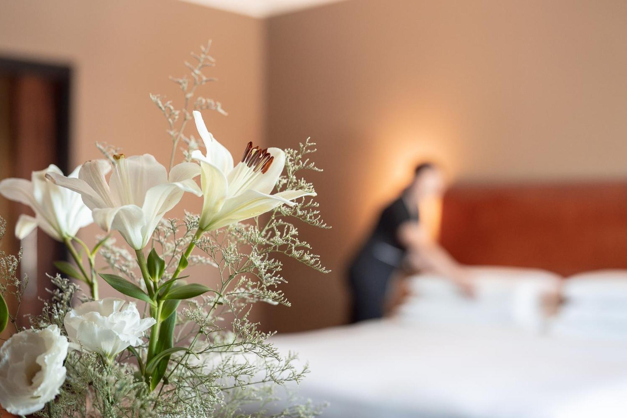 Park Hyatt Mendoza Hotel, Casino & Spa Luaran gambar A room at the hotel
